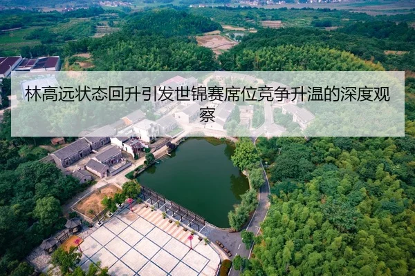林高远状态回升引发世锦赛席位竞争升温的深度观察 - MGSPORT