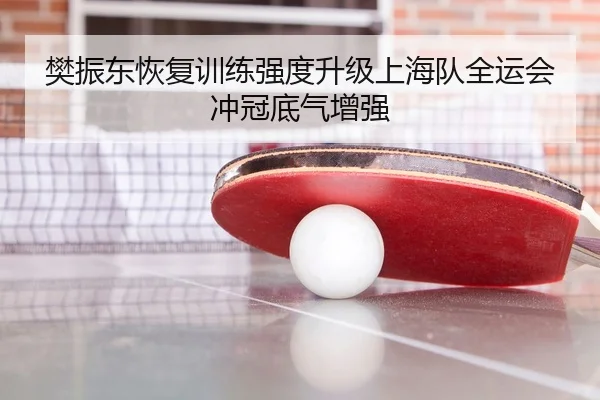 樊振东恢复训练强度升级上海队全运会冲冠底气增强（MGSPORT）